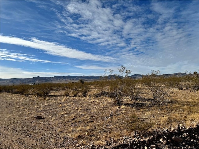 19309 N Deal Rd, White Hills, AZ 86445 - photo 24