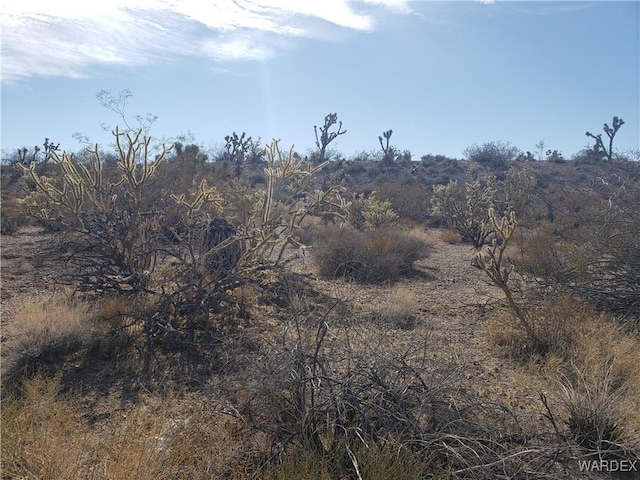 8560 W White Hills Rd, White Hills AZ, 86445 land for sale