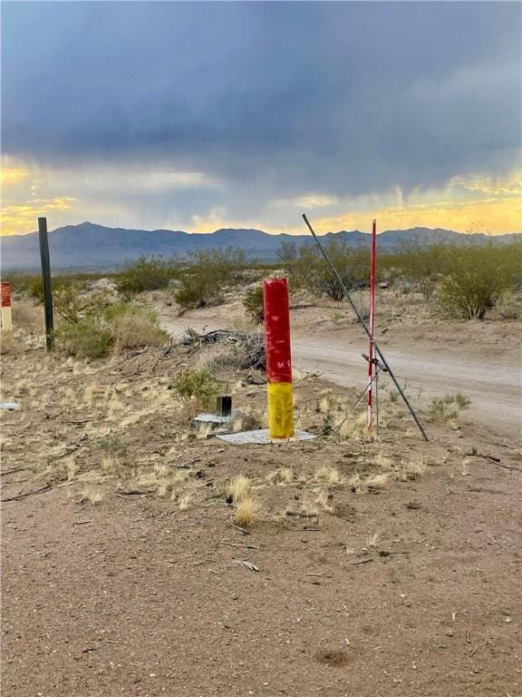 326-09-054 Elm Dr, Dolan Springs, AZ 86441 - photo 13