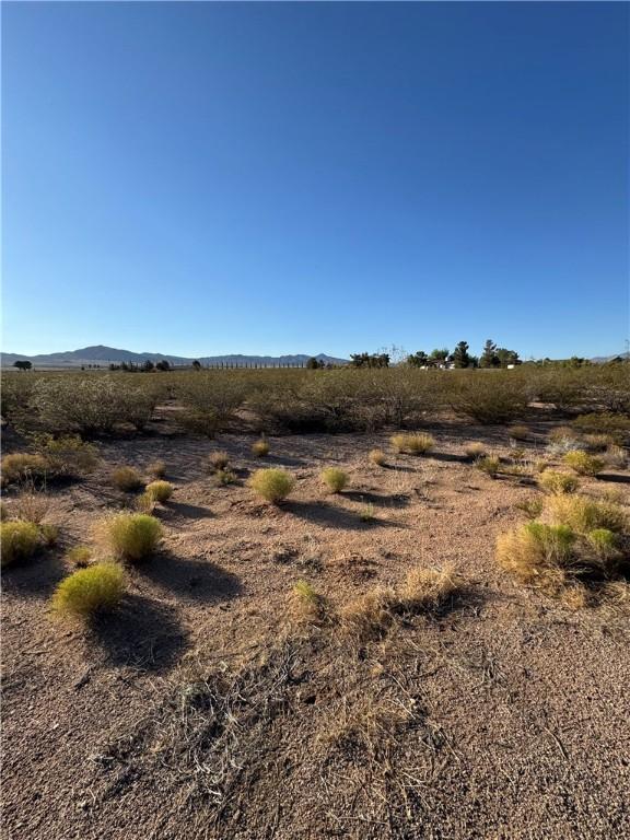 8812 N Ironwood Dr, Kingman, AZ 86401 - photo 4