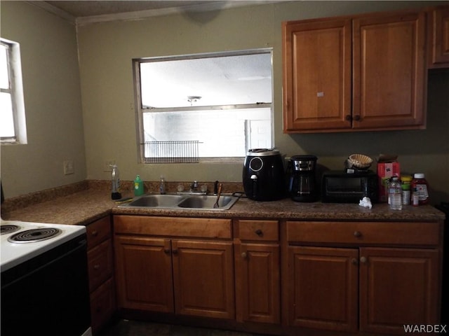 kitchen featuring ornamental molding, range with electric stovetop, a sink, and brown cabinets