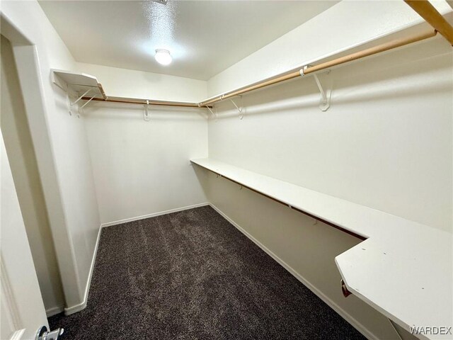 spacious closet featuring carpet floors