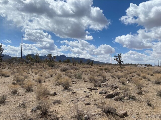327-06-017 Palm, Dolan Springs, AZ 86441