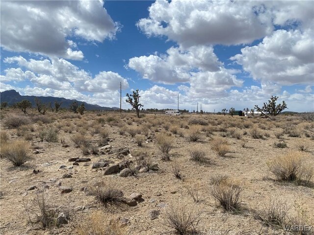 327-06-017 Palm, Dolan Springs, AZ 86441