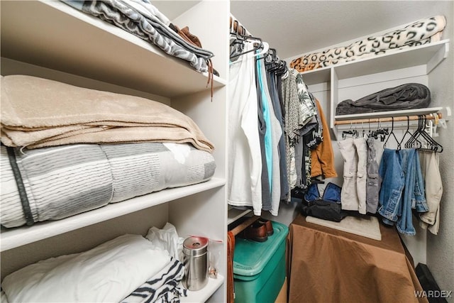 view of walk in closet