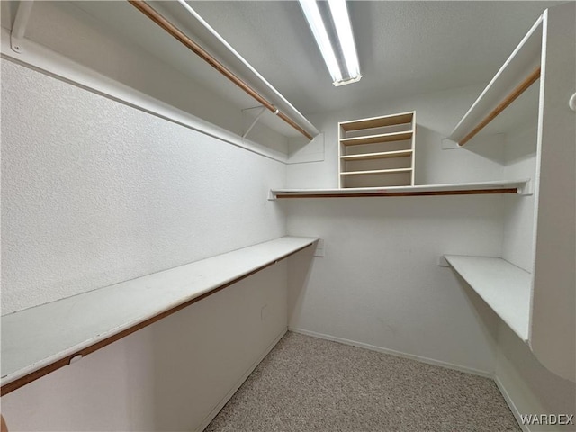 walk in closet with light colored carpet