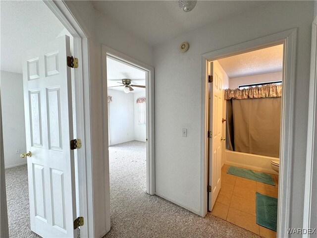 2667 Country Club Dr, Bullhead City, AZ 86442 - photo 26