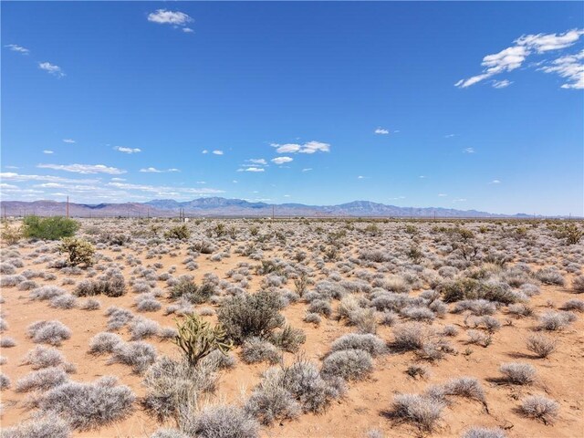 TBD W Bolsa, Golden Valley, AZ 86413 - photo 5