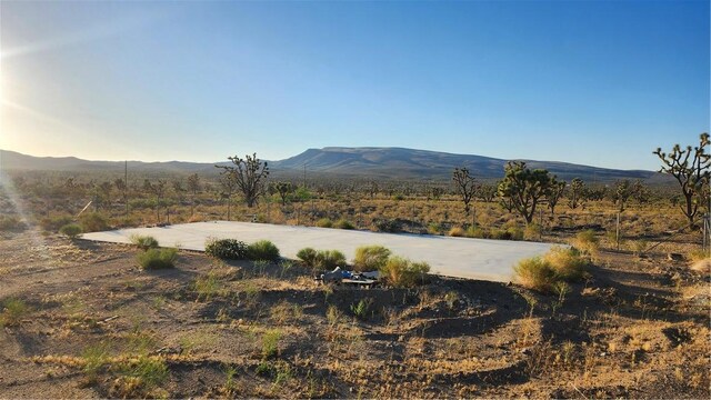 17932 N Needle Dr, Dolan Springs, AZ 86441 - photo 8