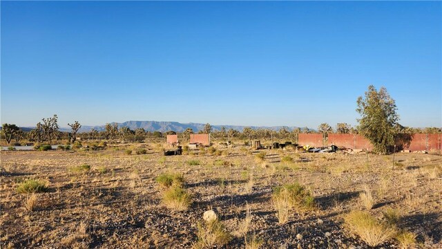 17932 N Needle Dr, Dolan Springs, AZ 86441 - photo 11