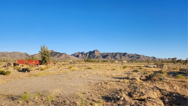 17932 N Needle Dr, Dolan Springs, AZ 86441 - photo 4
