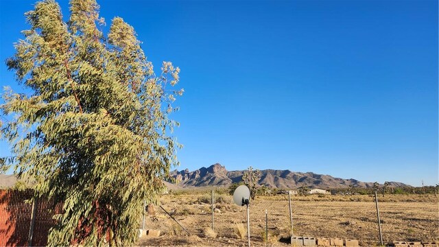 17932 N Needle Dr, Dolan Springs, AZ 86441 - photo 10