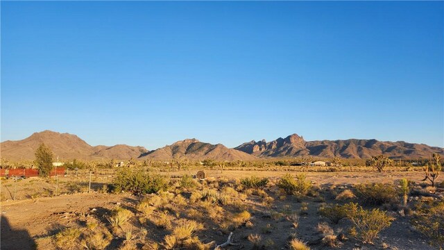 17932 N Needle Dr, Dolan Springs, AZ 86441 - photo 12