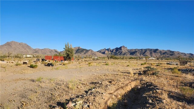 17932 N Needle Dr, Dolan Springs, AZ 86441 - photo 3