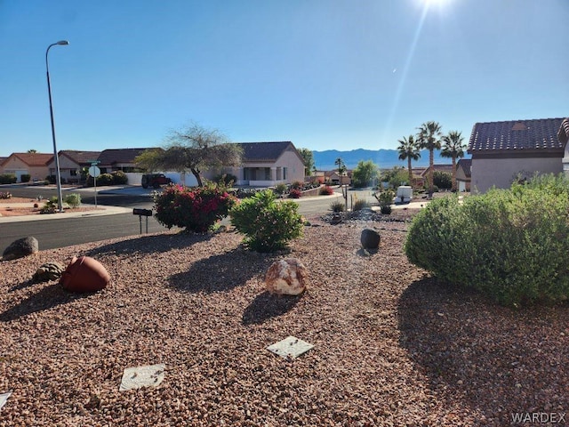 view of yard featuring a residential view