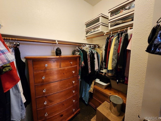 view of walk in closet