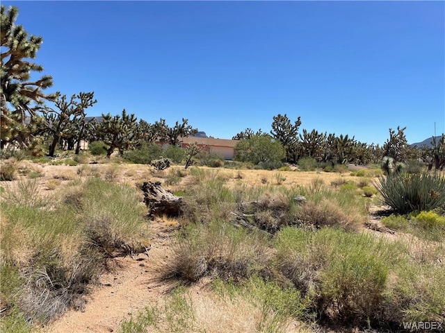 view of landscape featuring a rural view