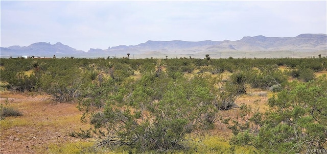 00 N Eloy Rd, Golden Valley AZ, 86413 land for sale