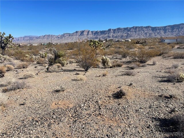 50 E Hualapai Creek Dr, Meadview, AZ 86444 - photo 1
