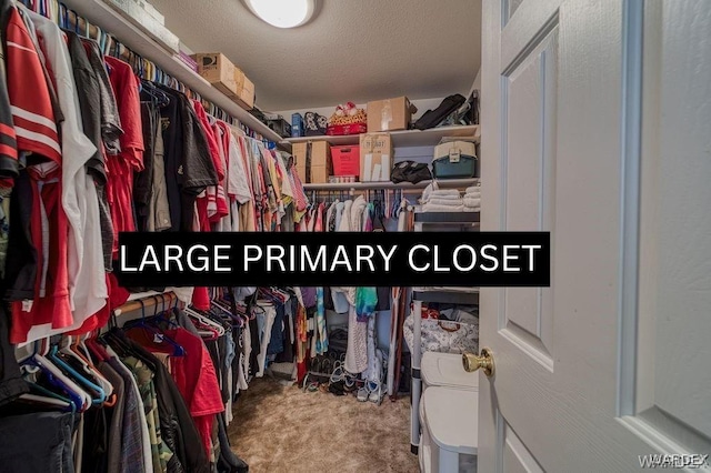 view of spacious closet