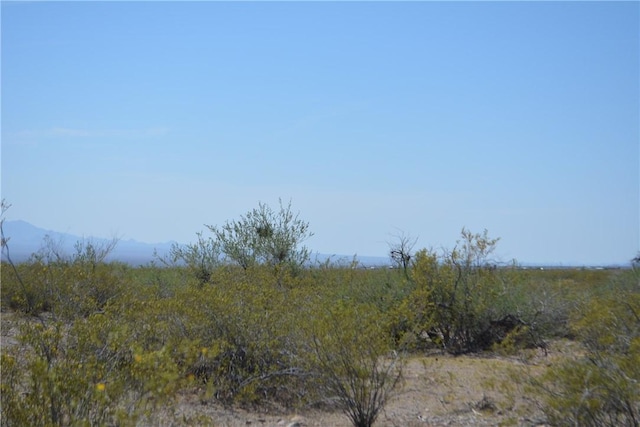 4532 S Pima Rd, Golden Valley, AZ 86413 - photo 21