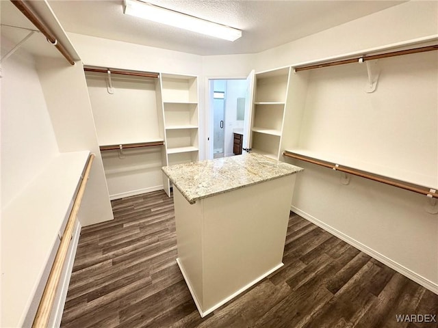 spacious closet with dark wood-style flooring