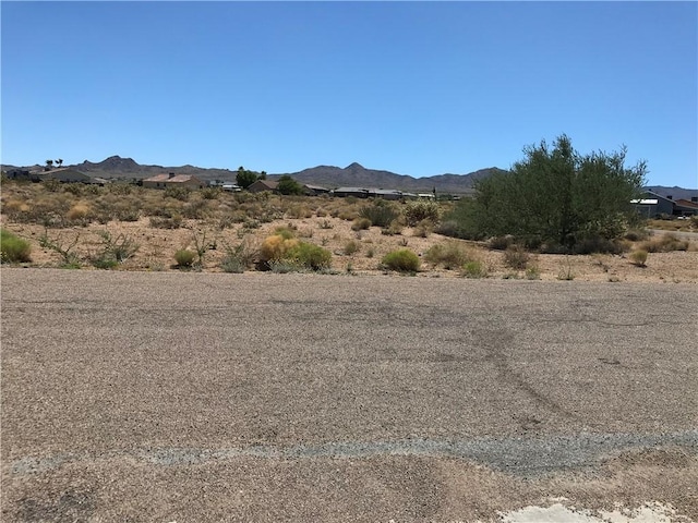 9317 N Rio Verde Cir, Kingman, AZ 86401 - photo 21