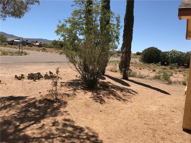 9317 N Rio Verde Cir, Kingman, AZ 86401 - photo 20