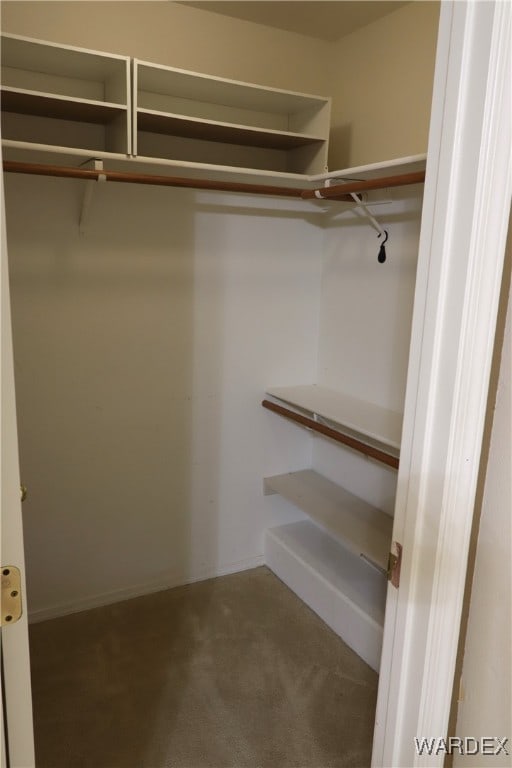 walk in closet featuring carpet flooring