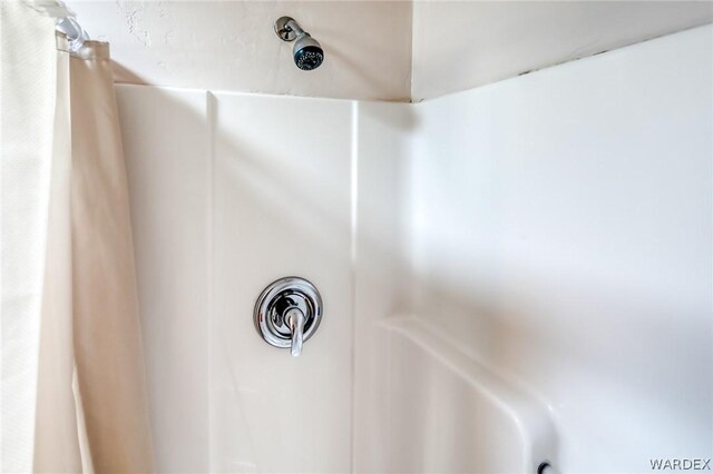 interior details with walk in shower