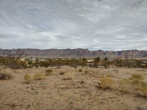 1398 W Overton Dr, Meadview AZ, 86444 land for sale