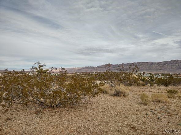 Listing photo 3 for 1398 W Overton Dr, Meadview AZ 86444