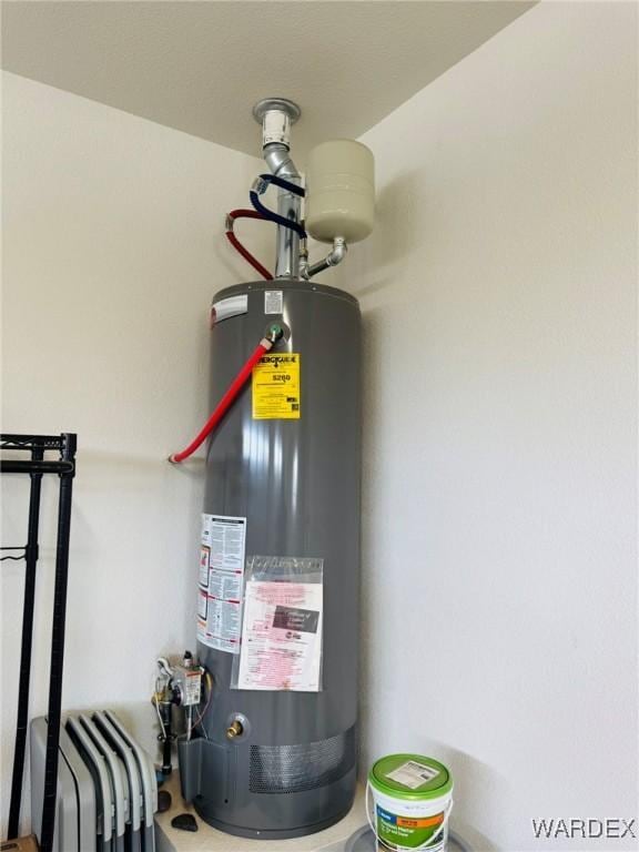 utility room with gas water heater
