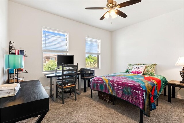 4844 N Old W Rd, Kingman, AZ 86401 - photo 26
