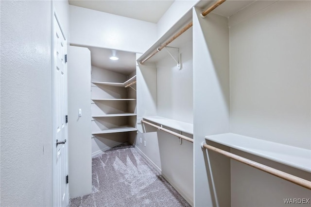 spacious closet with light carpet