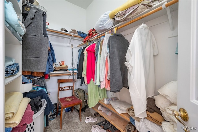 walk in closet with carpet flooring