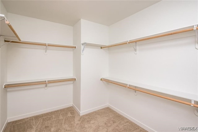 walk in closet with light carpet