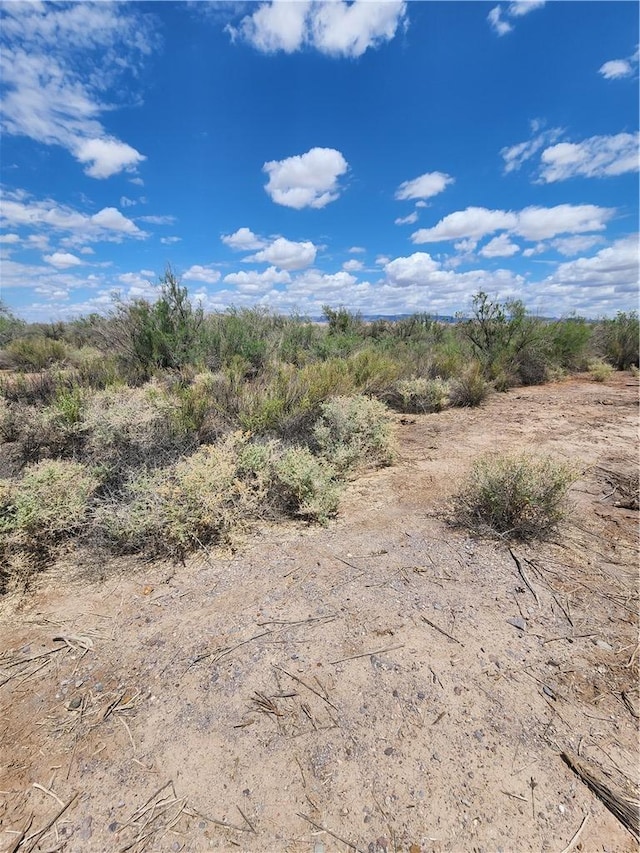 2798 Harold Pl, Mohave Valley, AZ 86440 - photo 6