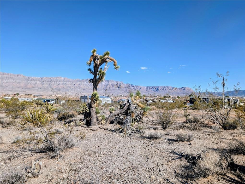 115 E Kolb Dr, Meadview, AZ 86444 - photo 1