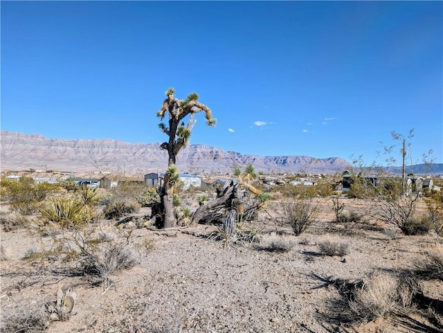 115 E Kolb Dr, Meadview, AZ 86444 - photo 1