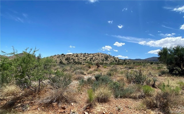 Listing photo 3 for TBD N N Mine Rd, Hackberry AZ 86411