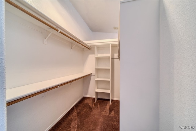 walk in closet with dark colored carpet