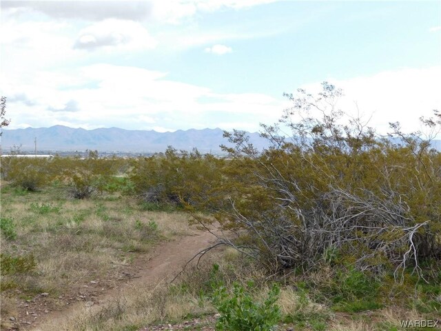 LOT9N2 S Elgin Rd, Golden Valley, AZ 86413 - photo 5