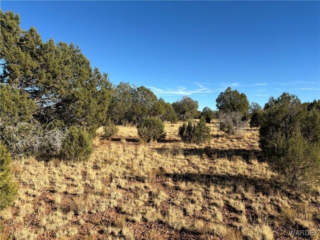 070B Denny, Seligman, AZ 86337 - photo 11