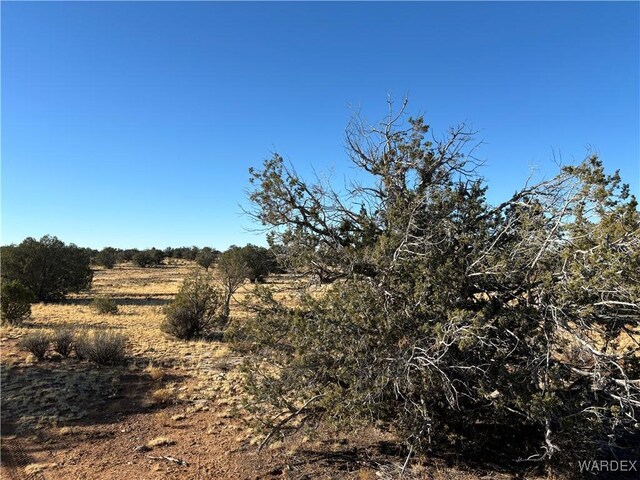 070B Denny, Seligman, AZ 86337 - photo 9
