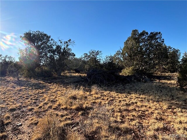 070B Denny, Seligman, AZ 86337 - photo 35