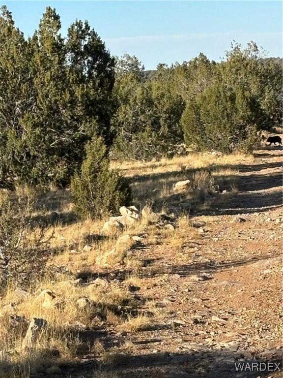 070B Denny, Seligman, AZ 86337 - photo 39