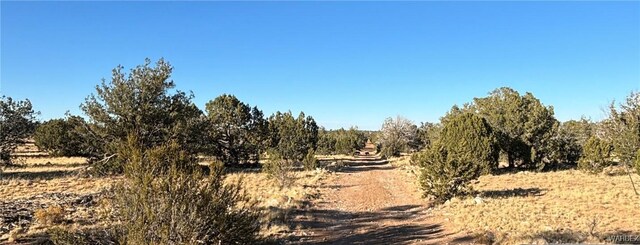 070B Denny, Seligman, AZ 86337 - photo 38