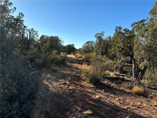 070B Denny, Seligman, AZ 86337 - photo 33