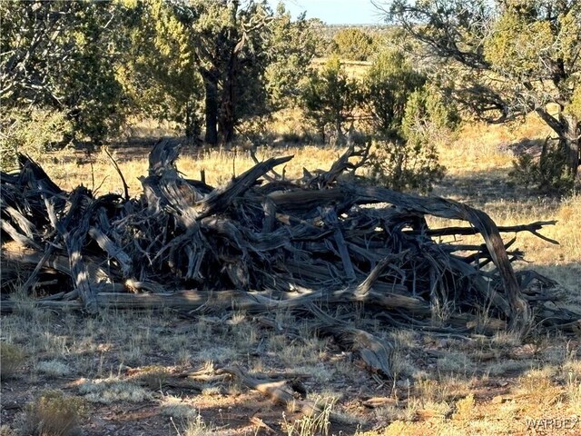 070B Denny, Seligman, AZ 86337 - photo 34